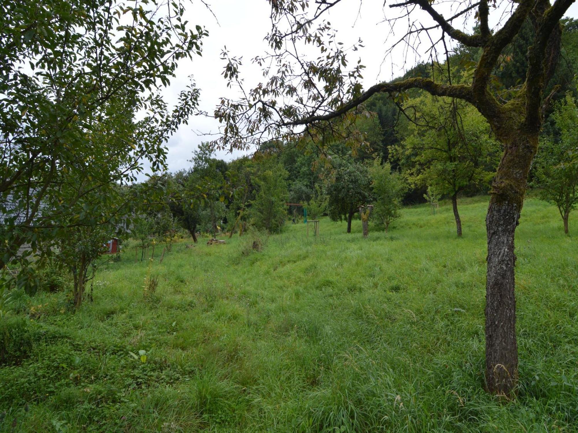 Cozy Apartment In Immerath With Fishing Near Luaran gambar