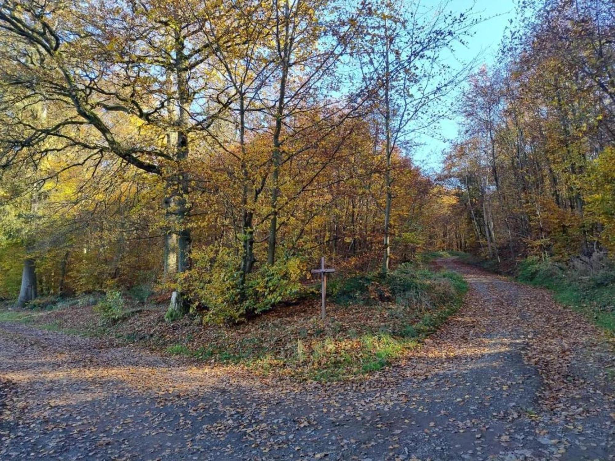 Cozy Apartment In Immerath With Fishing Near Luaran gambar