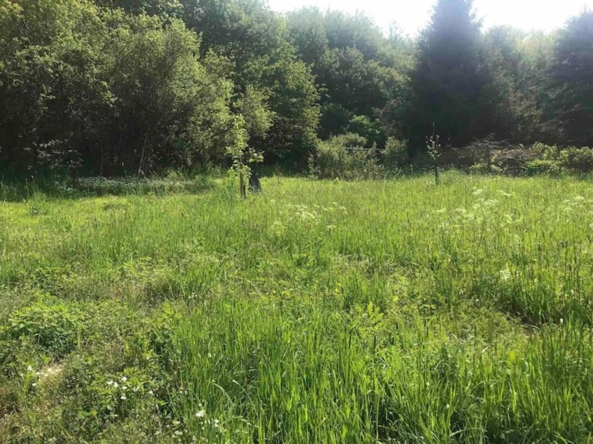 Cozy Apartment In Immerath With Fishing Near Luaran gambar