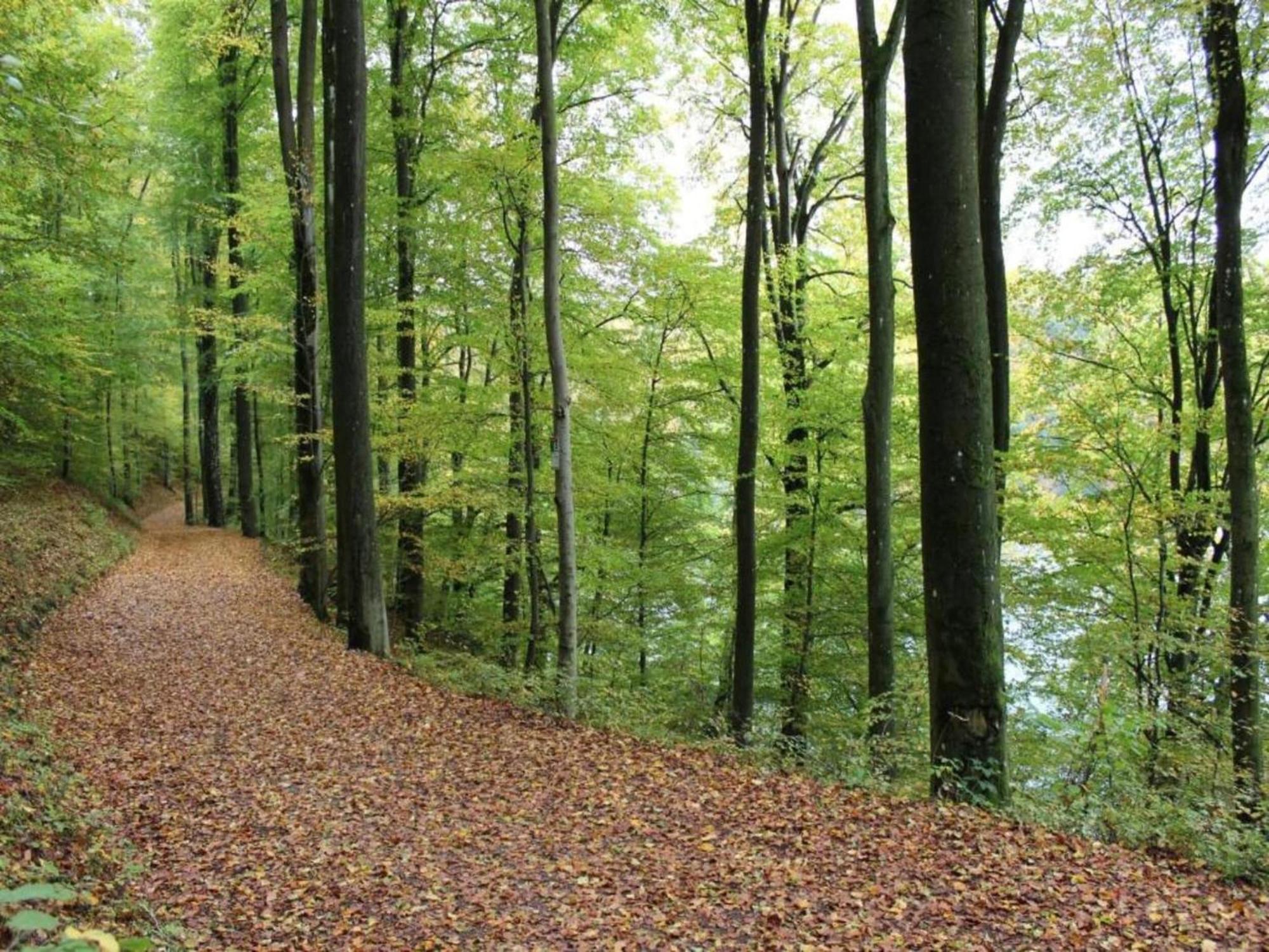 Cozy Apartment In Immerath With Fishing Near Luaran gambar